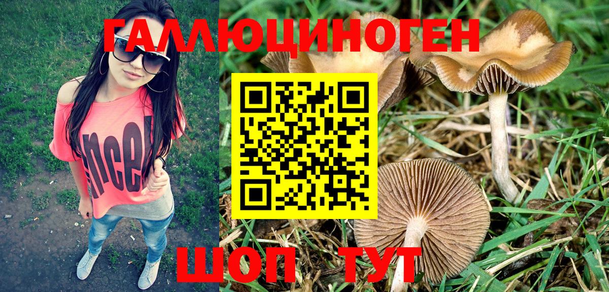 Галлюциногенные грибы Magic Shrooms  как найти закладки  Вход с VPN  Зеленодольск  Псилоцибиновые грибы Psilocybe 